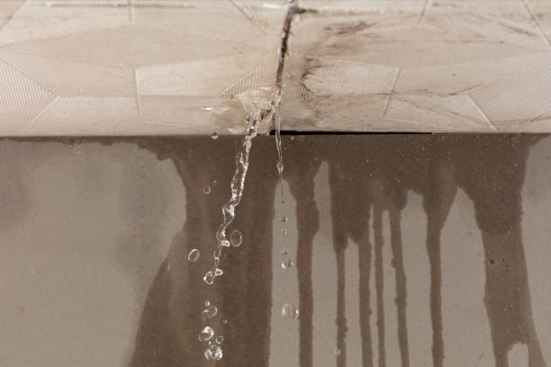 Professional Emergency Water Removal technician working in Newberry, MI